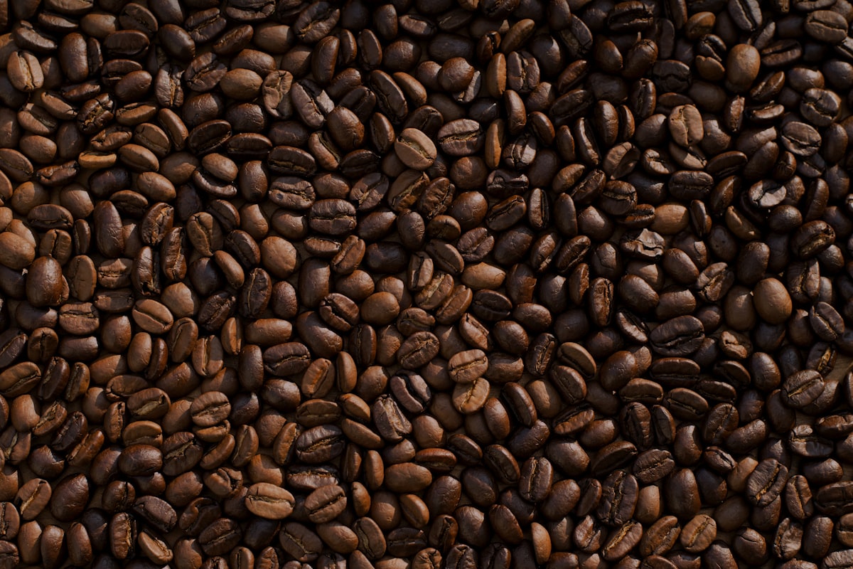 Cupping & Tasting